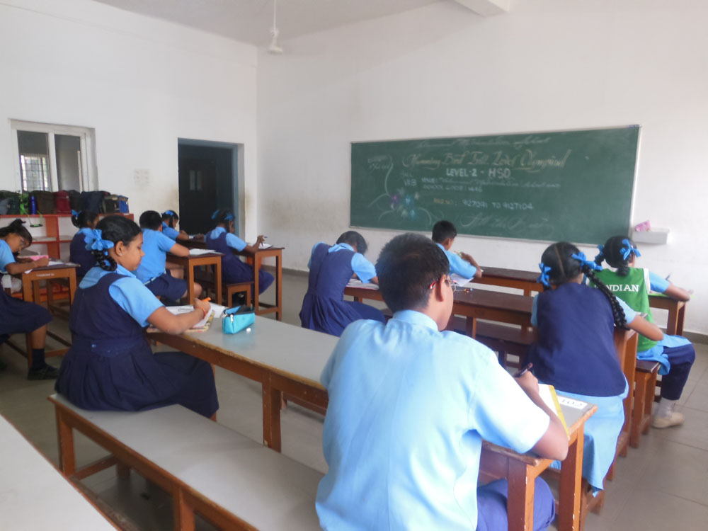 HB Experience – Humming Bird Education